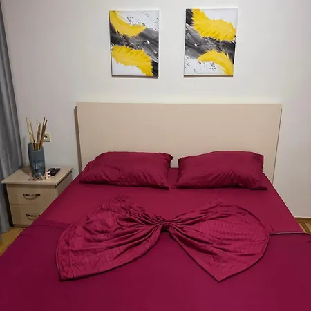 Global Guest Apartment Shkoder 公寓 *